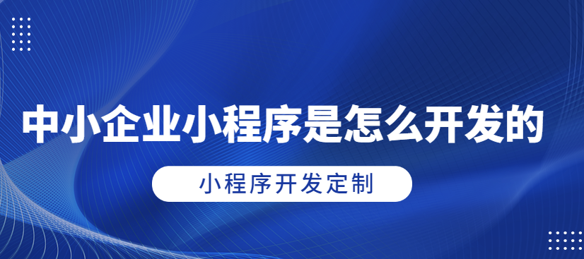 指尖上的商機！武榮CMS企業(yè)小程序開發(fā)，讓您的業(yè)務(wù)騰飛！