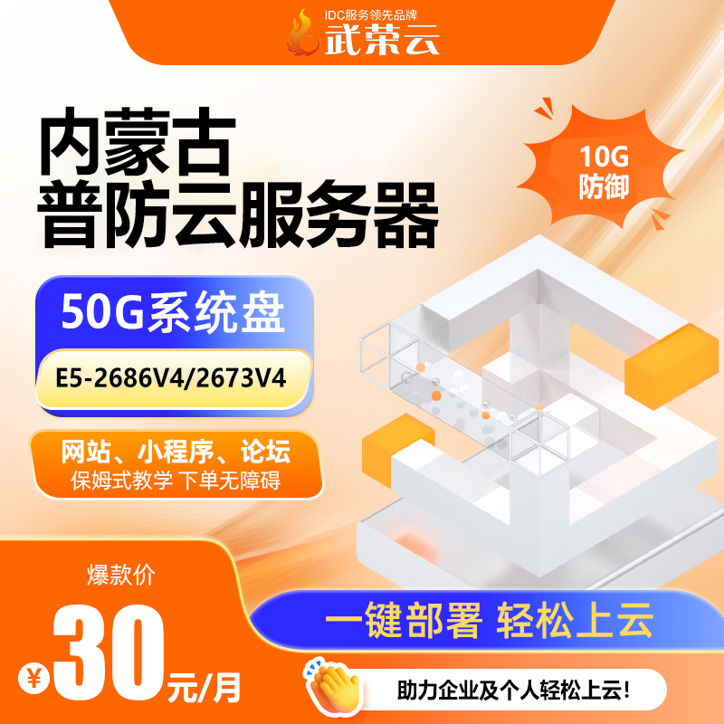 30元1個月！武榮云這款4核4G10M服務(wù)器，中小企業(yè)/個人用著太香了